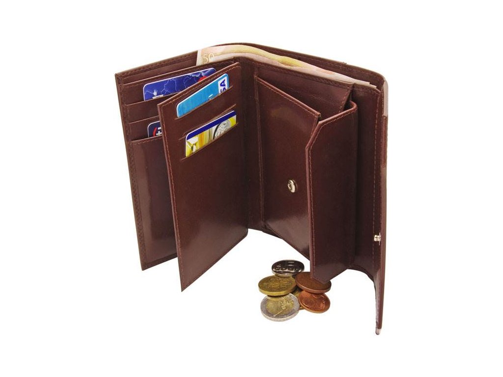 Vnitřek peněženky - karty a doklady